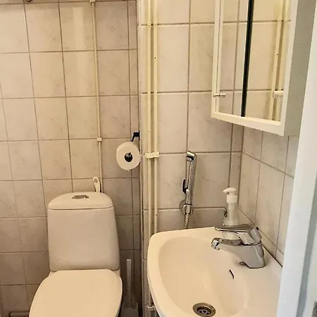 Puistokadun Sydän *
