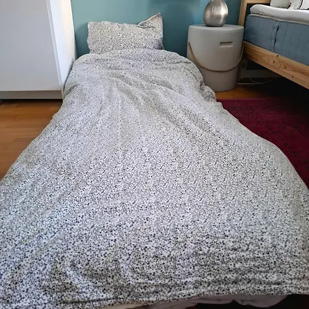 Daire Puistokadun Sydaen Jyväskylä